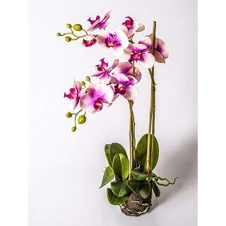 orchidée artificielle