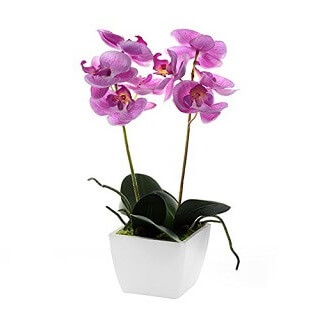 orchidée artificielle