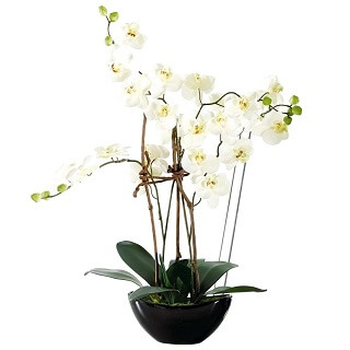 magnifique orchidée artificielle
