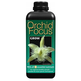 2 x Vitax Orchidée Nourriture Engrais pour la croissance saine et amélioré fleurs 200 g