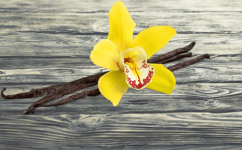 Tableau décoratif orchidée